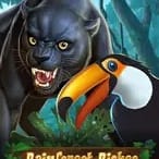 Rainforest Riches